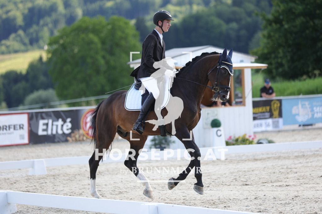 0P6A2368 | Willkommen bei Brunnmayr - Design & Fotografie – Ihrem Spezialisten für Reitturniere und Pferdeveranstaltungen in Oberösterreich, Salzburg und Bayern! Seit über 17 Jahren sind wir leidenschaftlich dabei.