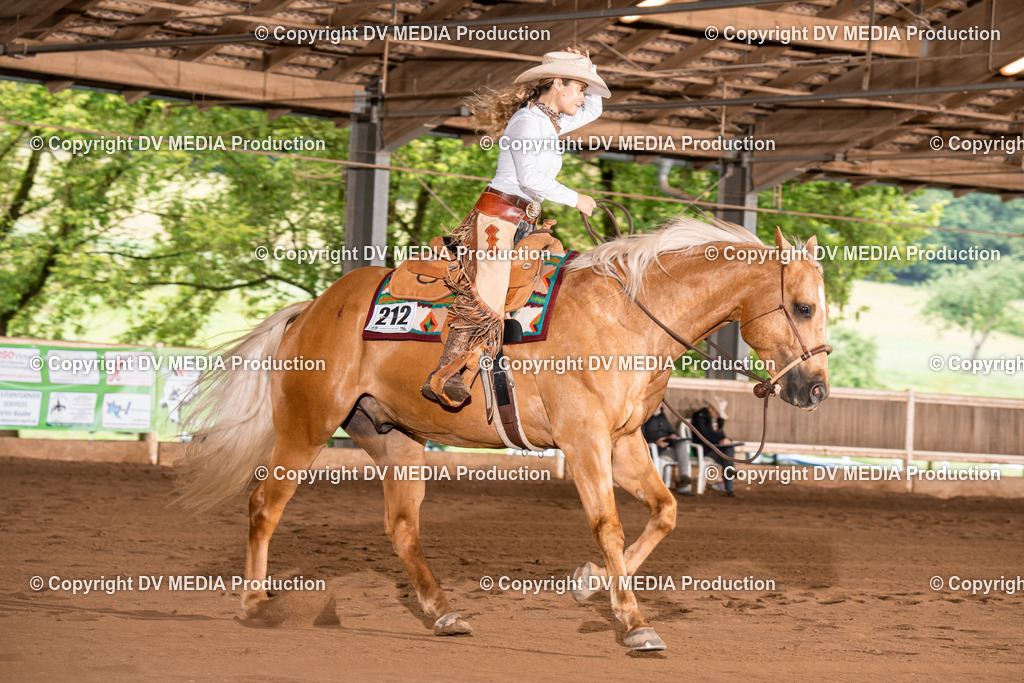 Erbach Tag 4-802 | dv-media-shop - Realisiert mit Pictrs.com