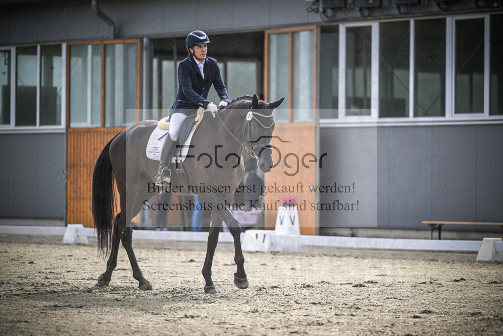 DOS_0594 | Entdecke hochwertige Reitturnierfotos von Foto Oger. Professionell, emotional und authentisch – jetzt Lieblingsmomente im Shop bestellen.Deutschlandweite Turnierfotografie. - Realisiert mit Pictrs.com