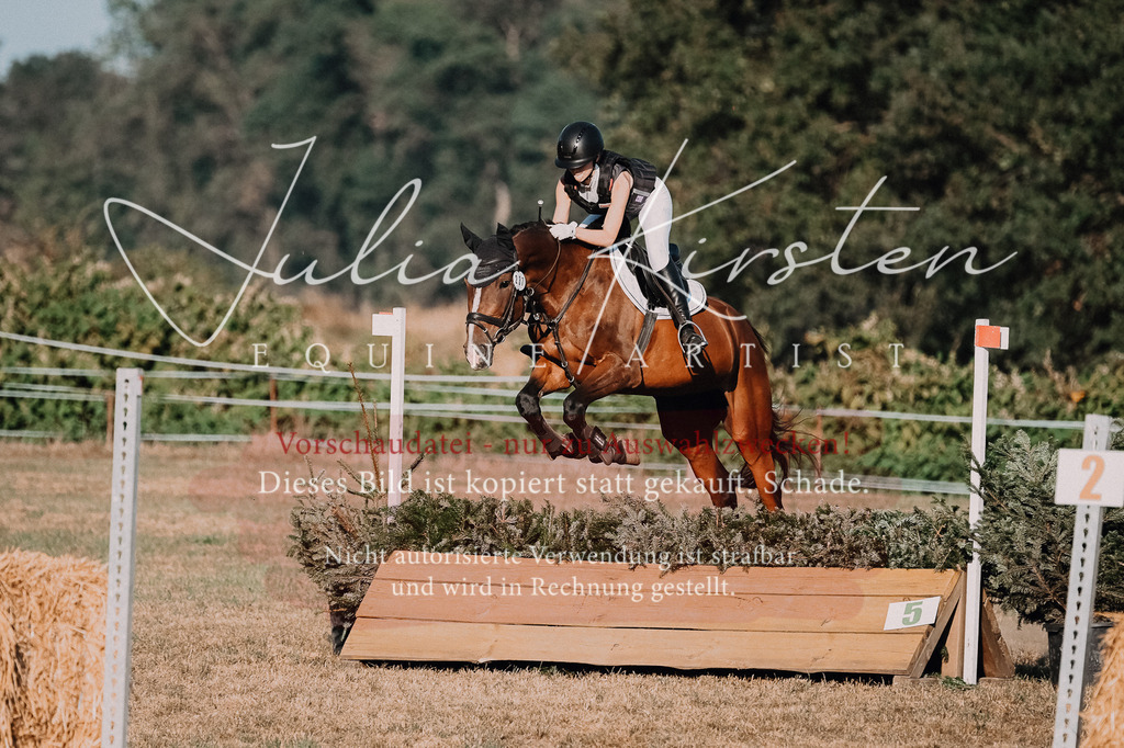 DSC_9149 | Pferde- und Turnierfotografie in Westsachsen. Pferdeportraits, Auftragszeichnungen und intuitive Kunst.
