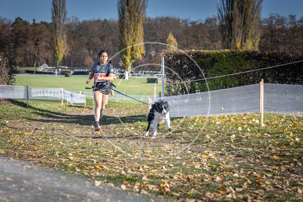 CaniXpix_DV3A8602 | Hundefotografie, Tierfotograf, Pfotenfotografie, Fotoshooting Hund, Hunde Portrait, Hundesport, Hundeportraits, Heideshooting, Hunde, Sportfotograf, Hundefotograf, Turnierhundsport, THS,  - Realisiert mit Pictrs.com