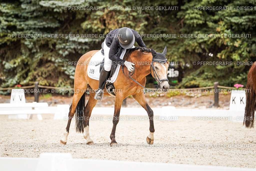 DSC04492 | Pferdegrafie