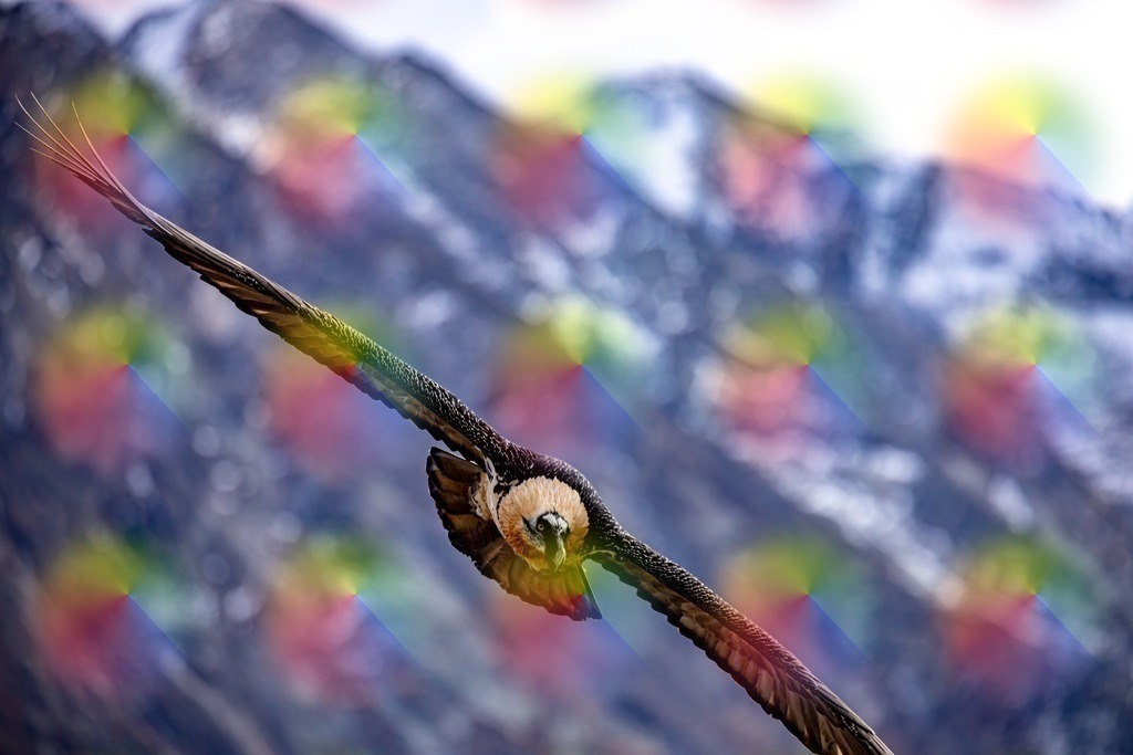 7J9A8347 | FineArtPrint, Hahnemühle, FeeGalerie, Fee Galerie, Fotokunst, Fotografie, Canonphotography, Bergfoto, Matterhorn, Rimpfischhorn, Allalinhorn, Saas-Fee, Wallis, Valais, Switzerland, Bergfotografie