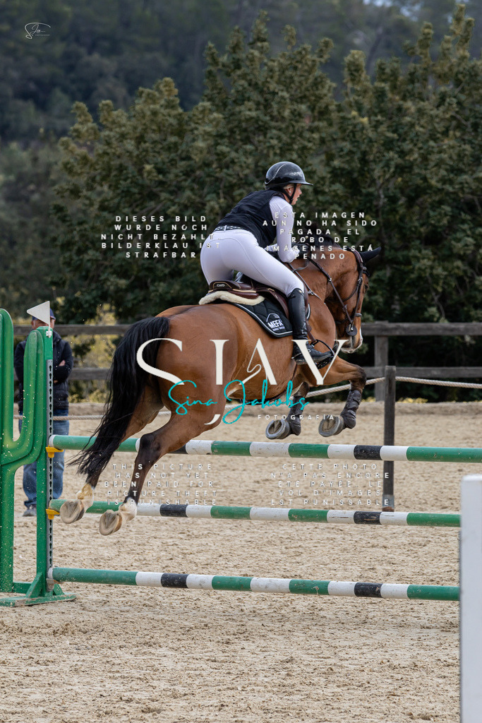 IMG_3982 | s-jay-photography - Realized with Pictrs.com