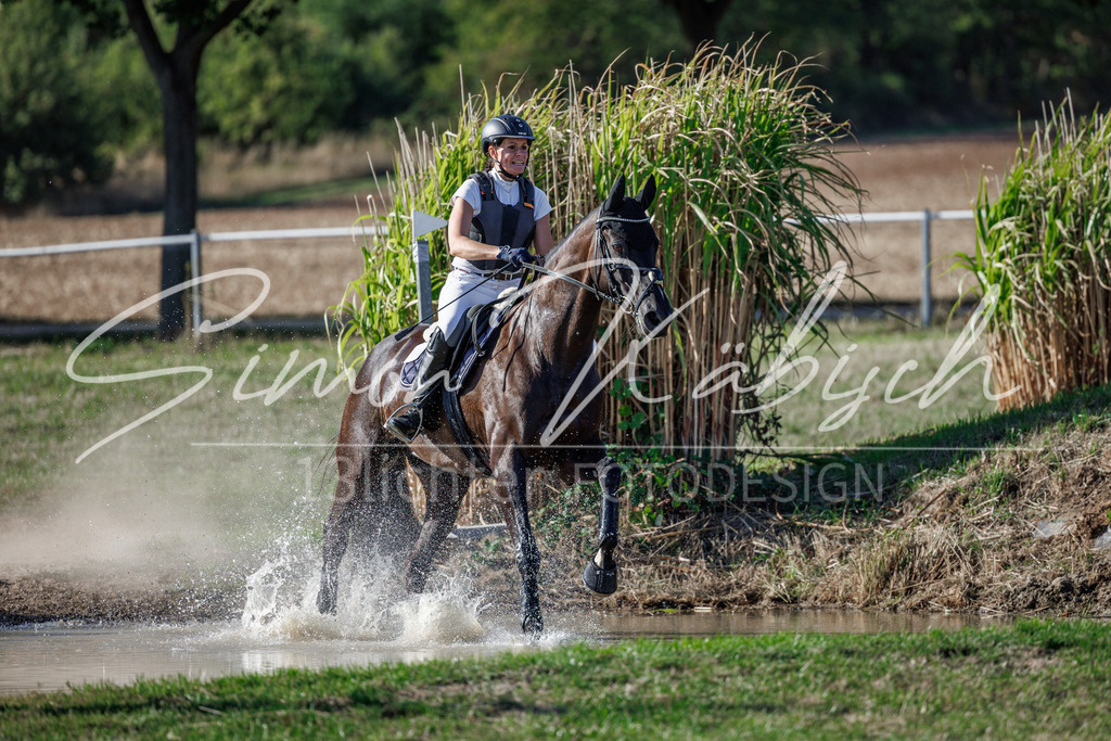 20260905-_3LI0573 | Tierfotografie Pferde, Hunde, Katzen, Haustiere.
Turnierfotografie Reitturniere, Reiten, Springreiten, Dressur in Hanau, dem Main-Kinzig-Kreis und dem Rhein-Main- Gebiet um Frankfurt