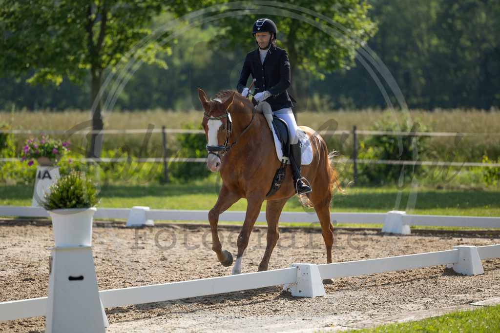 994A4171 | sabrinanicolaifotografie - Realisiert mit Pictrs.com