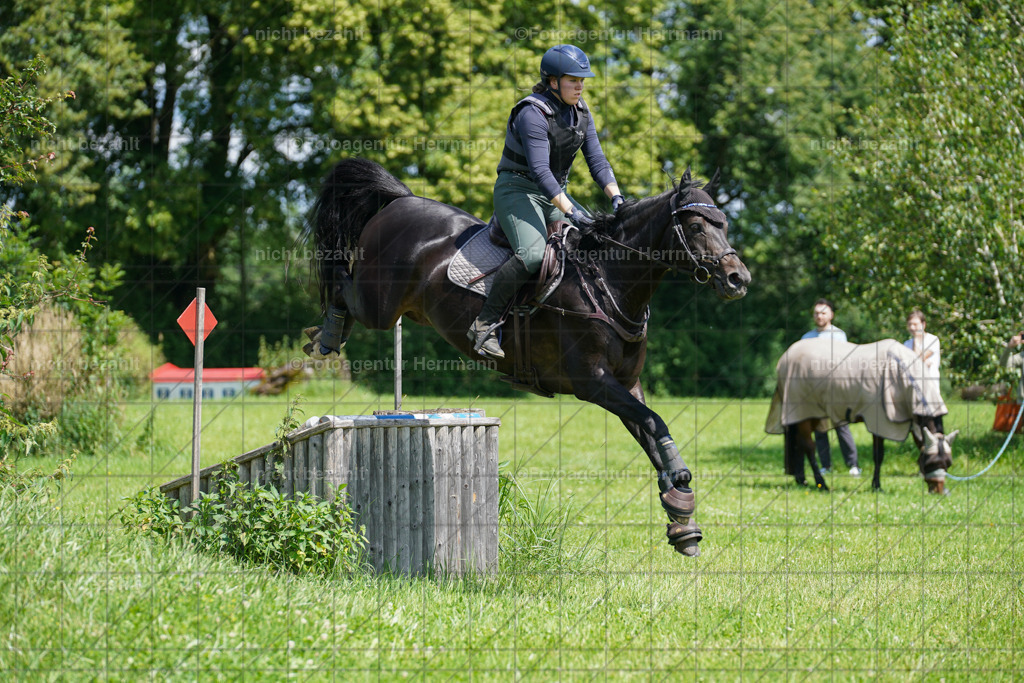 20240622-FAH06819 | Turnierfotografen Bayern, Reitsportbilder aus dem Geländekurs mit Felix Etzel auf dem Gut Waitzacker 2024
