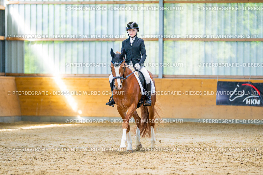 DSC06802 | Pferdegrafie