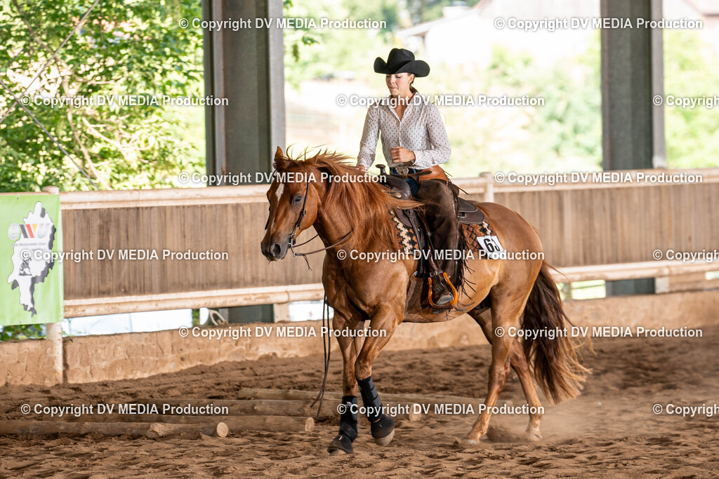 Erbach Tag 1-0955 | dv-media-shop - Realisiert mit Pictrs.com