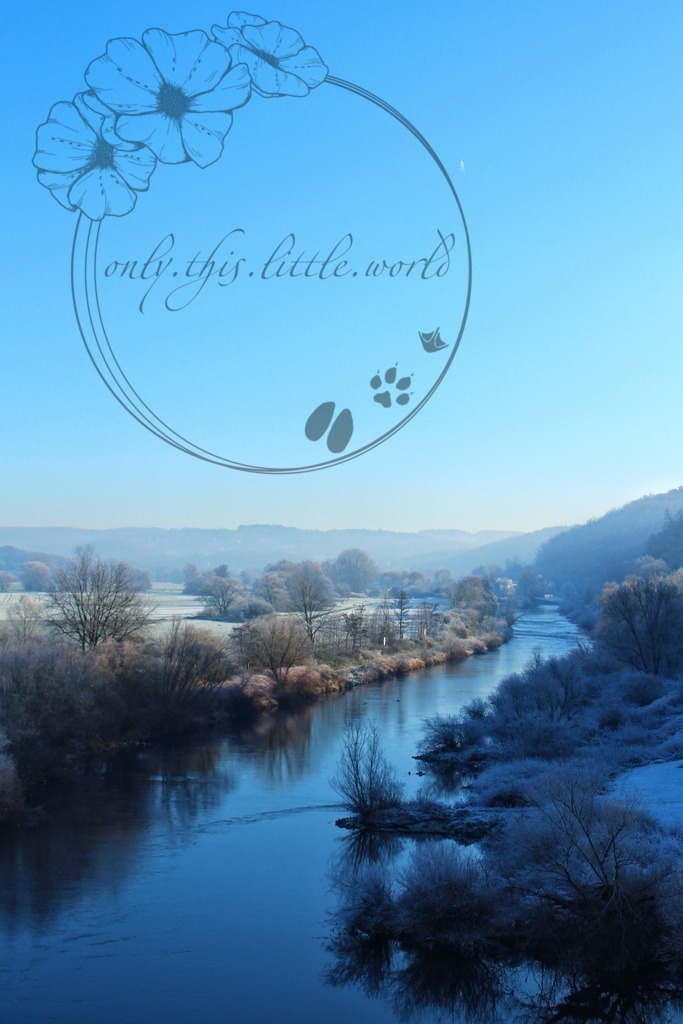 Wintermorgen an der Ruhr 002 | only.this.little.world - Realisiert mit Pictrs.com
