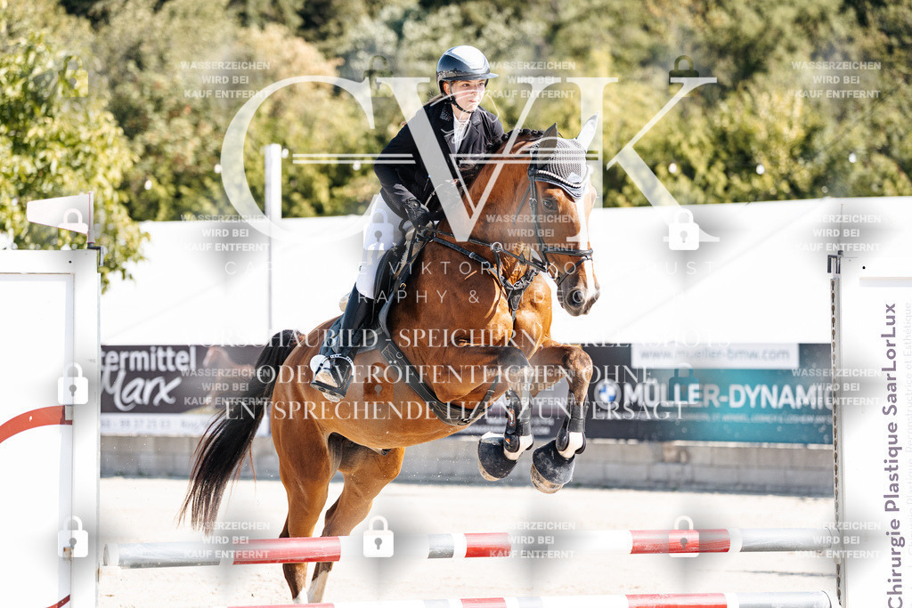 CK905077 | Turnierfotografie Pferdefotografie Trier Rheinland-Pfalz Pferdesport Reitsport Tierfotografie Sportfotografie Pferdevideo Pferdevideografie Equestrianvideography equestrianphotography  - Realisiert mit Pictrs.com