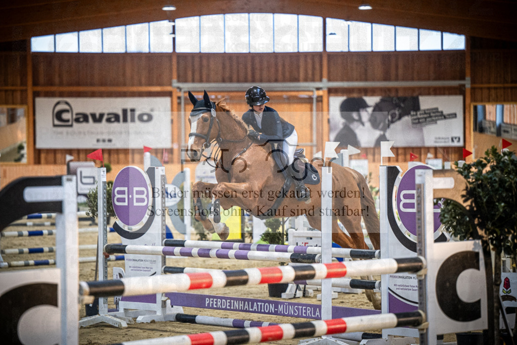 DOS_0931 | Entdecke hochwertige Reitturnierfotos von Foto Oger. Professionell, emotional und authentisch – jetzt Lieblingsmomente im Shop bestellen.Deutschlandweite Turnierfotografie. - Realisiert mit Pictrs.com