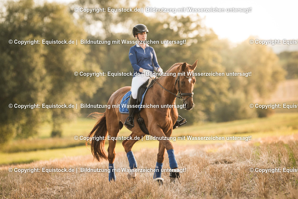 TS_20170814_Stoppelfeld_Reiten_0002 | Foto: Thomas Hartig