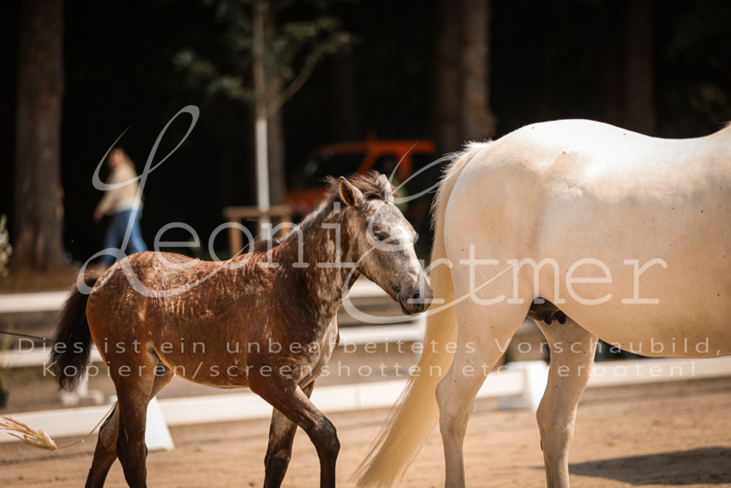 02.DoSR00170 | Leoni Ertmer Photography - Realisiert mit Pictrs.com