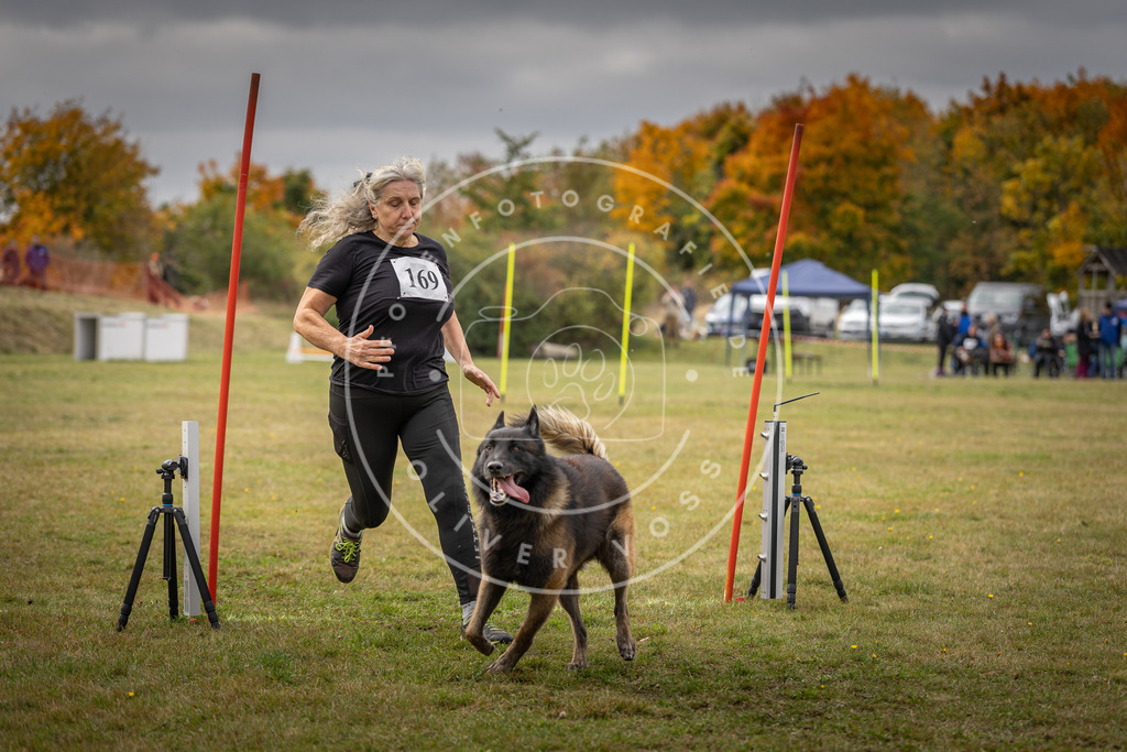 Pfotenfotografie_DV3A5832 | Hundefotografie, Tierfotograf, Pfotenfotografie, Fotoshooting Hund, Hunde Portrait, Hundesport, Hundeportraits, Heideshooting, Hunde, Sportfotograf, Hundefotograf, Turnierhundsport, THS,  - Realisiert mit Pictrs.com