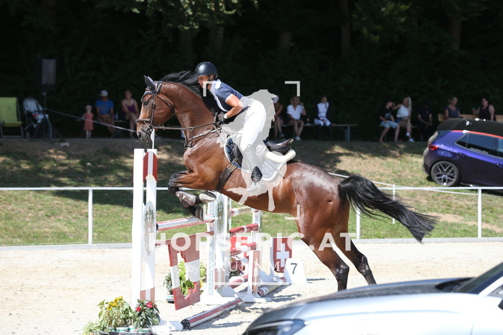 PP018242 | Willkommen bei Brunnmayr - Design & Fotografie – Ihrem Spezialisten für Reitturniere und Pferdeveranstaltungen in Oberösterreich, Salzburg und Bayern! Seit über 17 Jahren sind wir leidenschaftlich dabei.