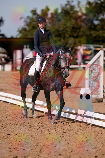 2026_10_03_Siefer-Hof_120028_Z81_02202361 | Professionelle Reitsport-, Turnier- und Eventfotografie von Robert Broda. Galerien mit ausgewählten und bearbeiteten Bildern direkt online ansehen und bestellen.