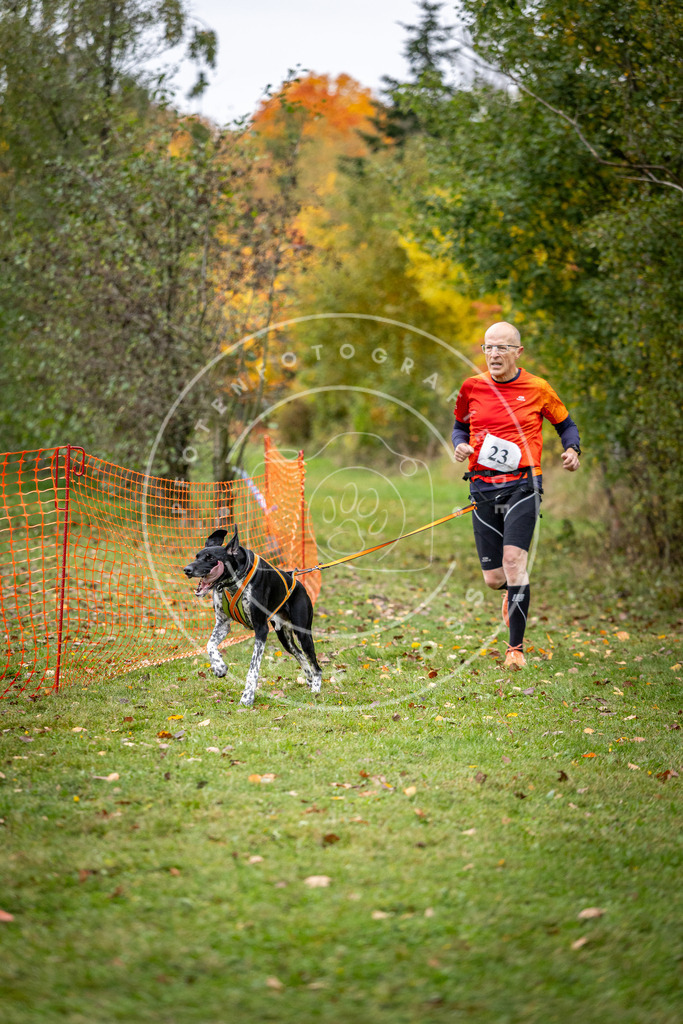 Pfotenfotografie_DV3A1965 | Hundefotografie, Tierfotograf, Pfotenfotografie, Fotoshooting Hund, Hunde Portrait, Hundesport, Hundeportraits, Heideshooting, Hunde, Sportfotograf, Hundefotograf, Turnierhundsport, THS,  - Realisiert mit Pictrs.com