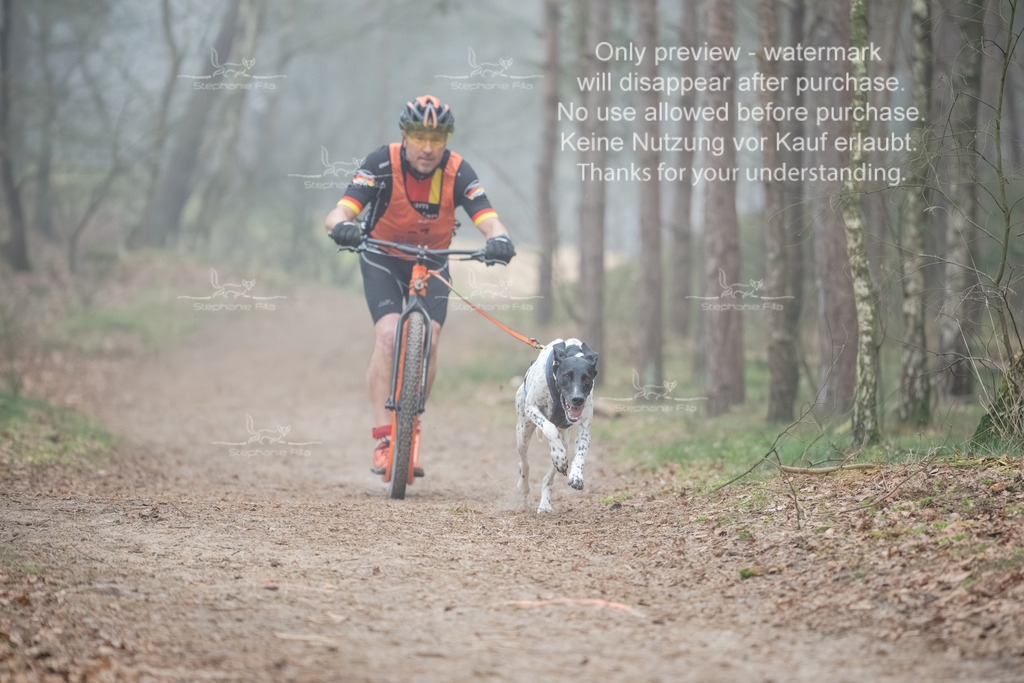 Scooter1-86 | stephaniefillaphotographie - Realisiert mit Pictrs.com