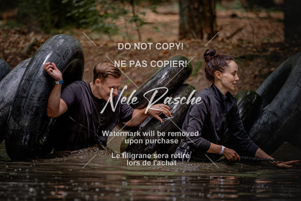 nelerasche_SaWingst1530-1600_45 | nelerasche