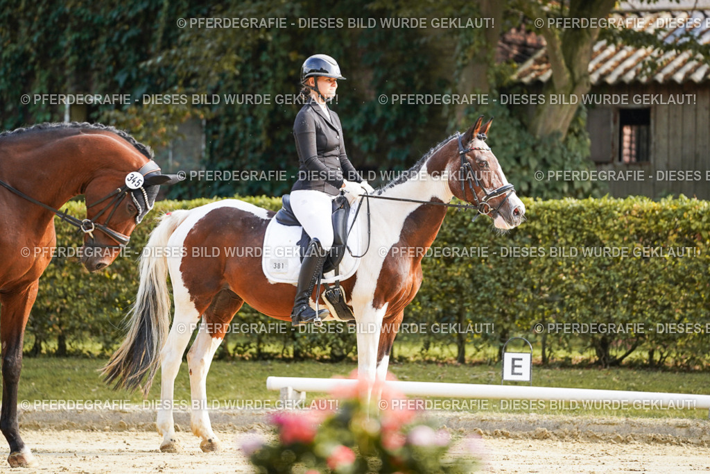 DSC05604 | Pferdegrafie