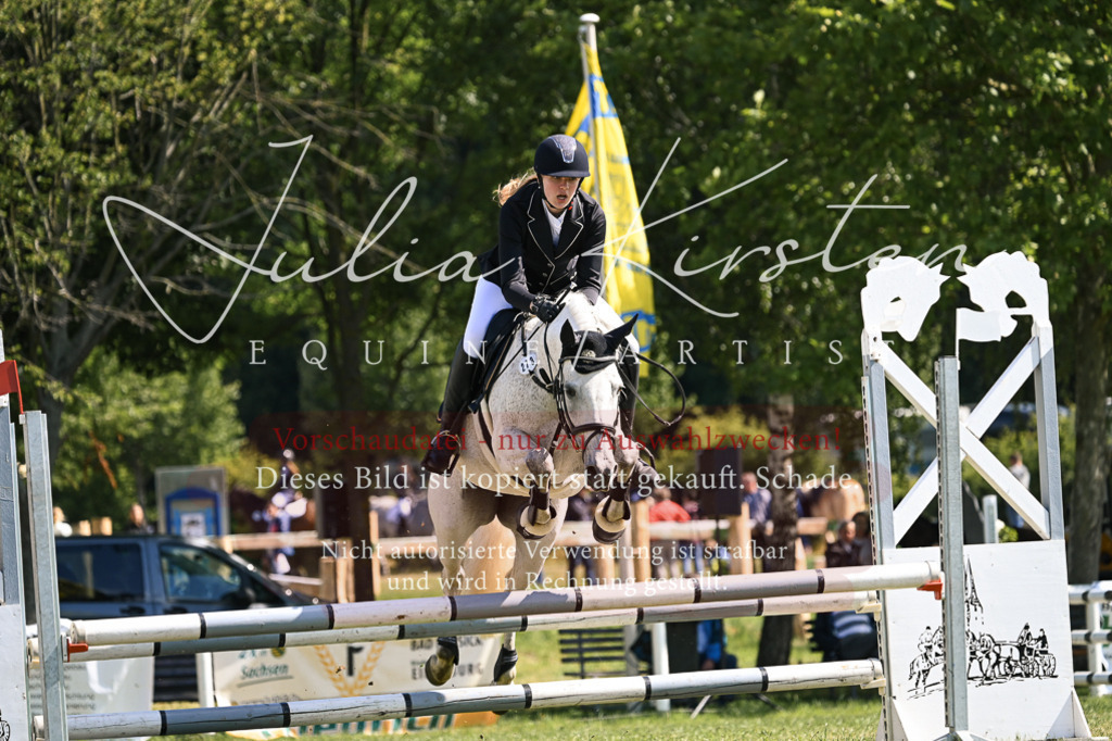 DSC_8737 | Pferde- und Turnierfotografie in Westsachsen. Pferdeportraits, Auftragszeichnungen und intuitive Kunst.