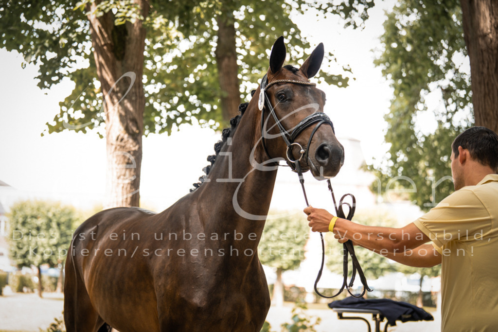 FrPfM00150 | Leoni Ertmer Photography - Realisiert mit Pictrs.com