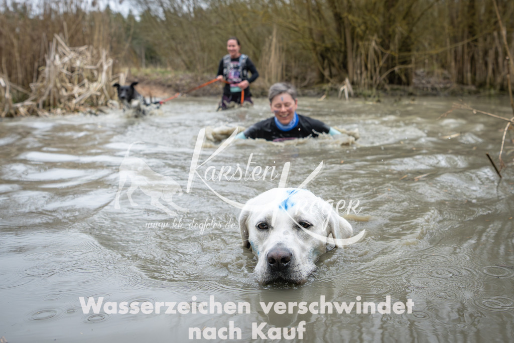1344_ZZ92194 | kk-dogfotos