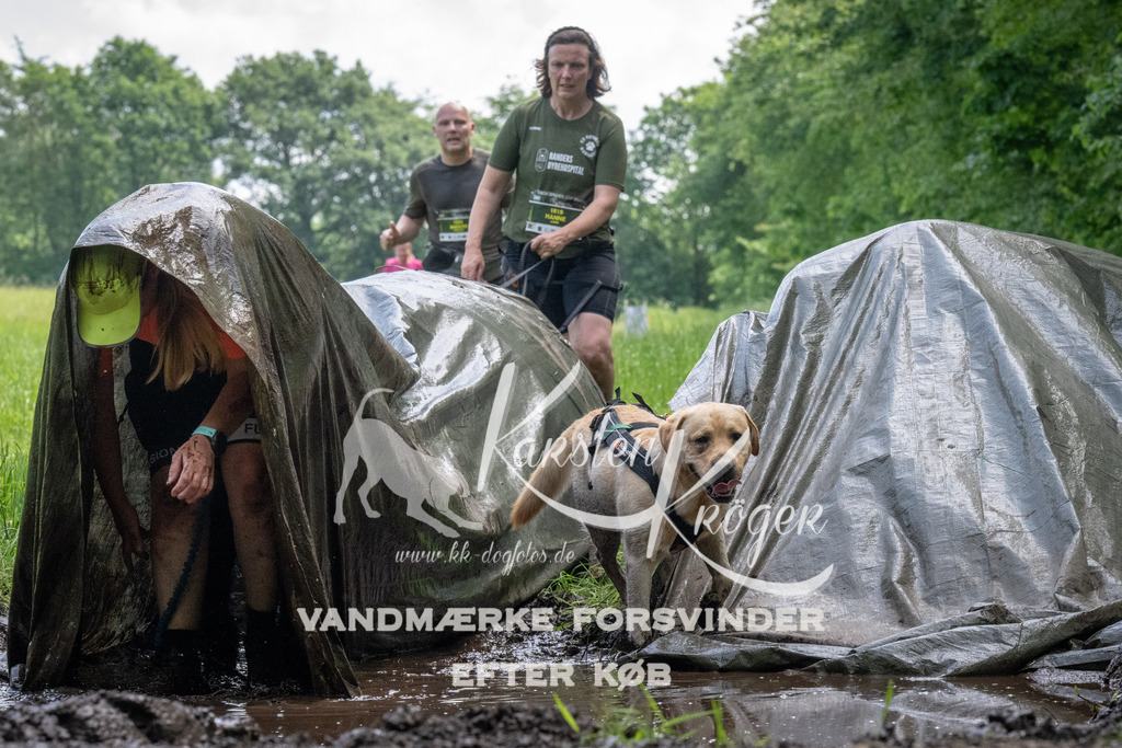 1142_ZZ94011 | kk-dogfotos