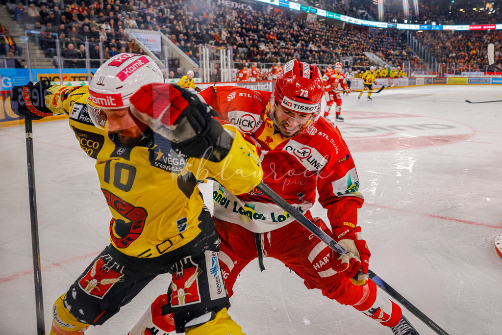 EHCB vs SCB 20260110_wb-3641 | Sportbilder, Sportfotograf, Hochzeits- und Eventfotografin, Flugshows, Portraits und Tiershooting, Aviation, Downhill, Nationalleague, Swissleague, International