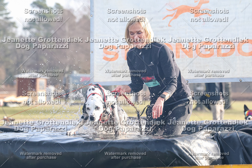 Dog Paparazzi - Strongdog North Mrz26-161 | Dog Paparazzi Jeanette Grottendiek Fotografie & Videografie - Realisiert mit Pictrs.com