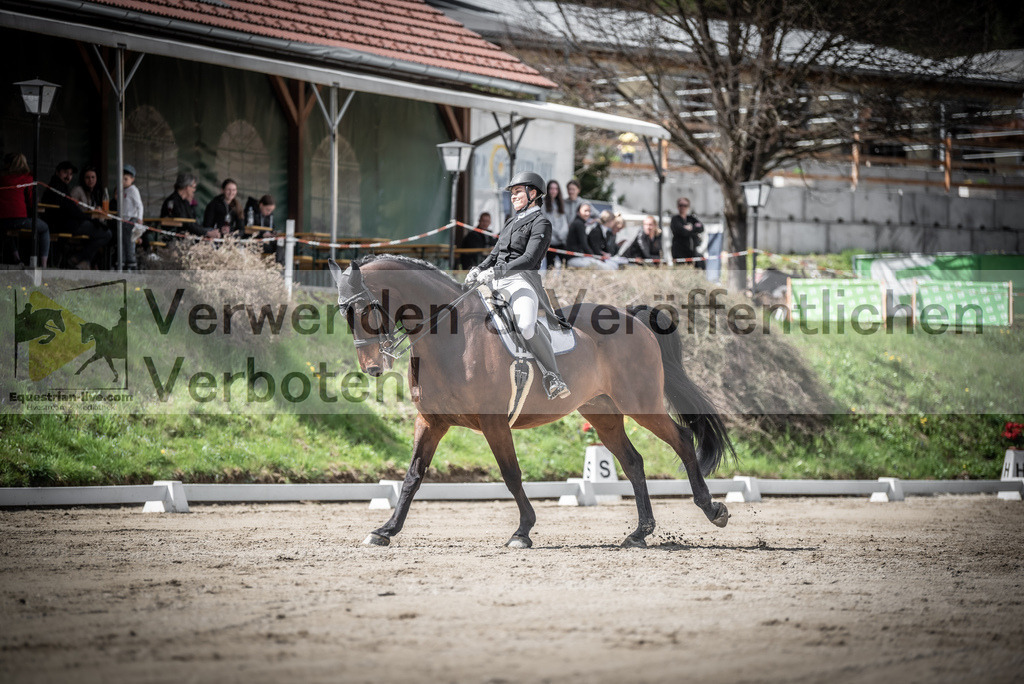 DSC_2973 | equestrian-live-com