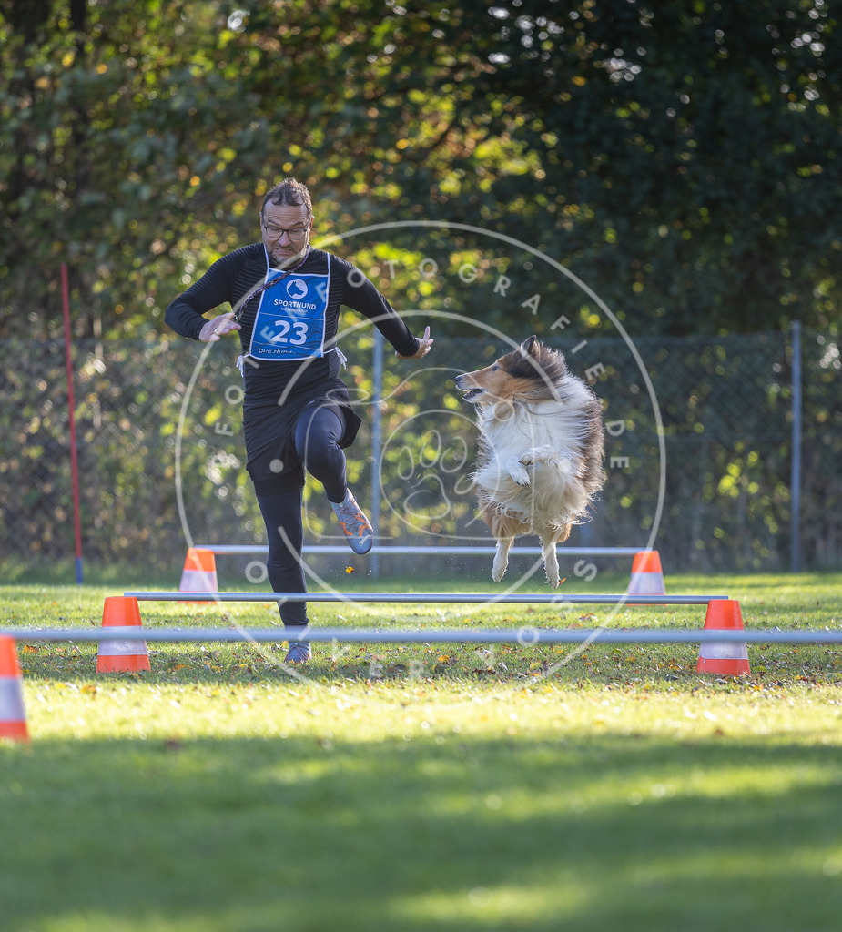 Pfotenfotografie.de_DV3A3024 | Hundefotografie, Tierfotograf, Pfotenfotografie, Fotoshooting Hund, Hunde Portrait, Hundesport, Hundeportraits, Heideshooting, Hunde, Sportfotograf, Hundefotograf, Turnierhundsport, THS, canicross - Realisiert mit Pictrs.com