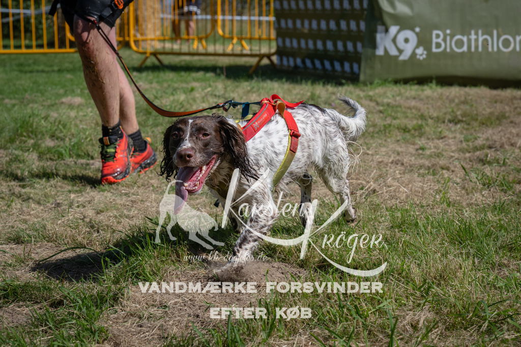 1109_ZZ90834 | kk-dogfotos