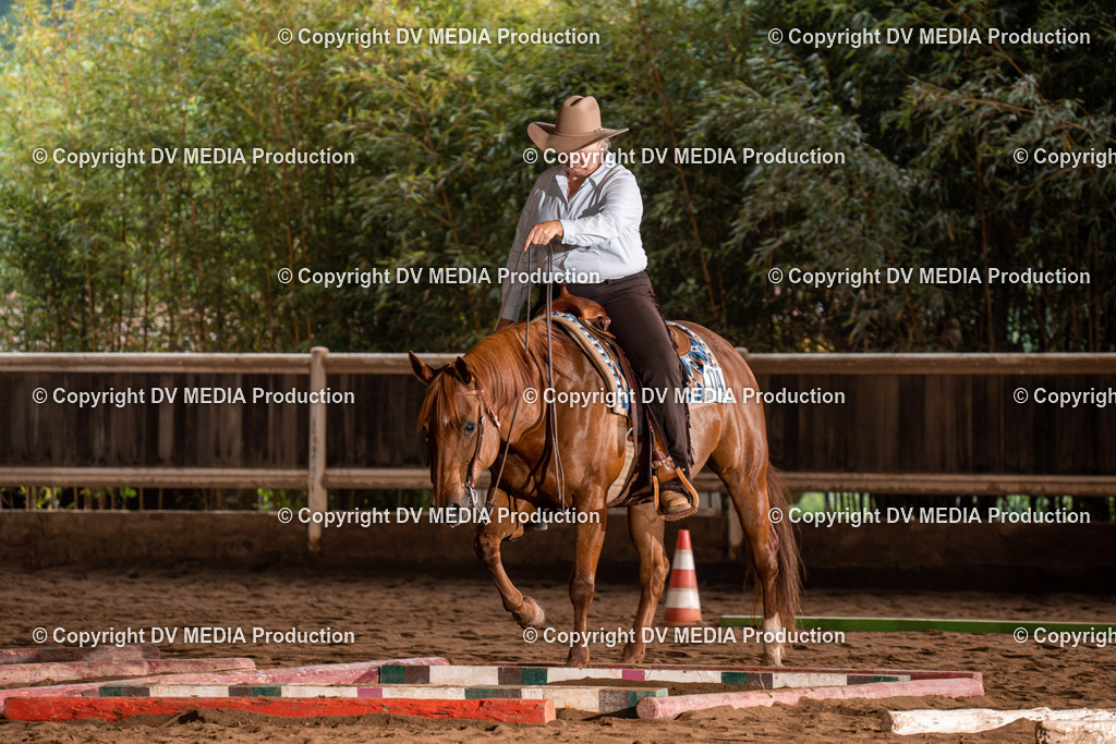 Erbach Tag 3-097 | dv-media-shop - Realisiert mit Pictrs.com