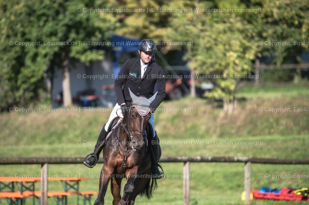 20230908_14-15_Springpferde-A_0008 | equistock