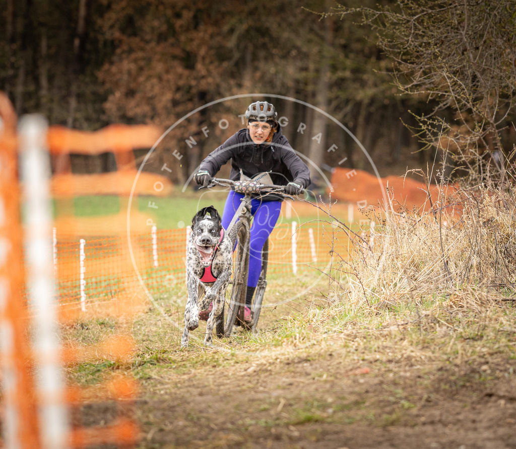 DV3A1402 | Hundefotografie, Tierfotograf, Pfotenfotografie, Fotoshooting Hund, Hunde Portrait, Hundesport, Hundeportraits, Heideshooting, Hunde, Sportfotograf, Hundefotograf, Turnierhundsport, THS,  - Realisiert mit Pictrs.com