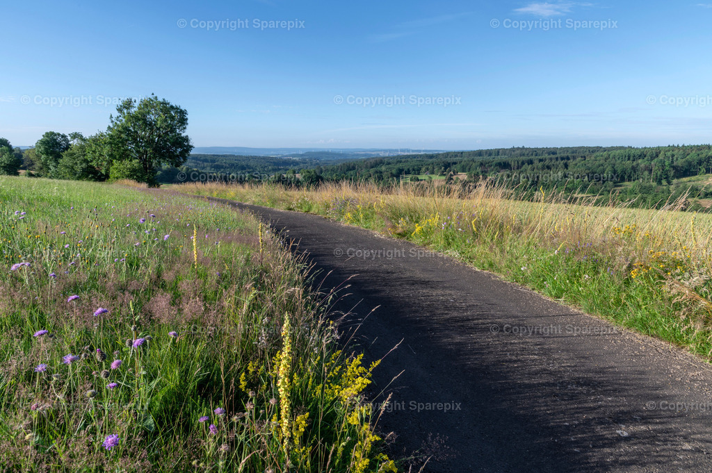 LOC_Trail_Summer_Hills1 | sparepix - Realisiert mit Pictrs.com