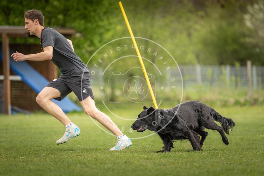 Pfotenfotografie_DV3A9780 | Hundefotografie, Tierfotograf, Pfotenfotografie, Fotoshooting Hund, Hunde Portrait, Hundesport, Hundeportraits, Heideshooting, Hunde, Sportfotograf, Hundefotograf, Turnierhundsport, THS,  - Realisiert mit Pictrs.com