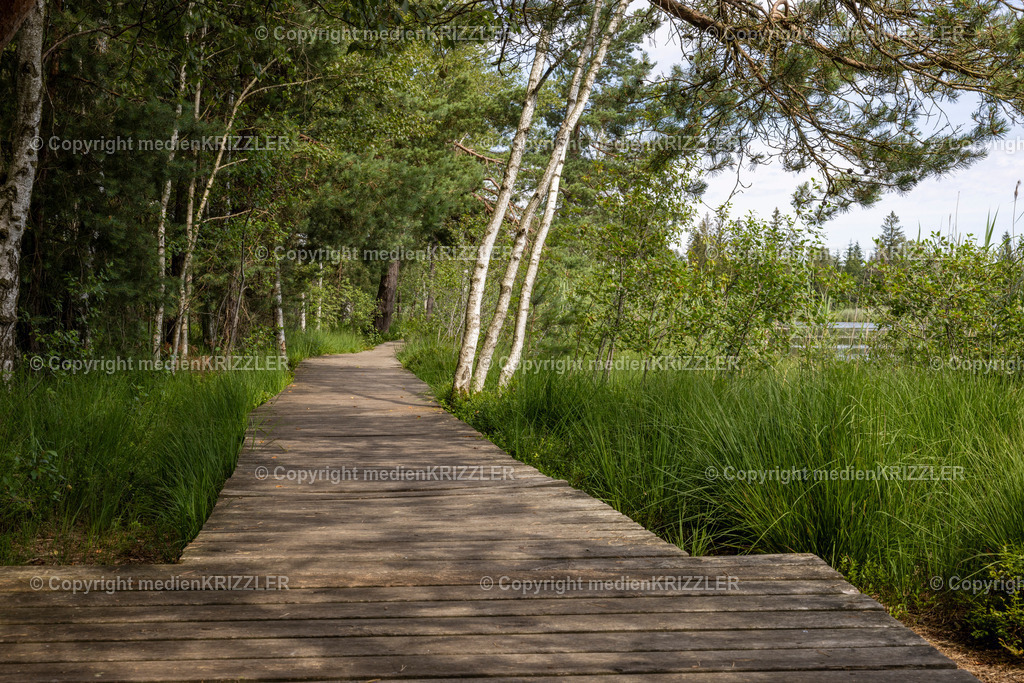 _J3A5410 | medienkrizzler - Realisiert mit Pictrs.com