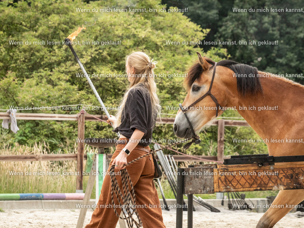 598A7694 | photographylinaismer - Realisiert mit Pictrs.com