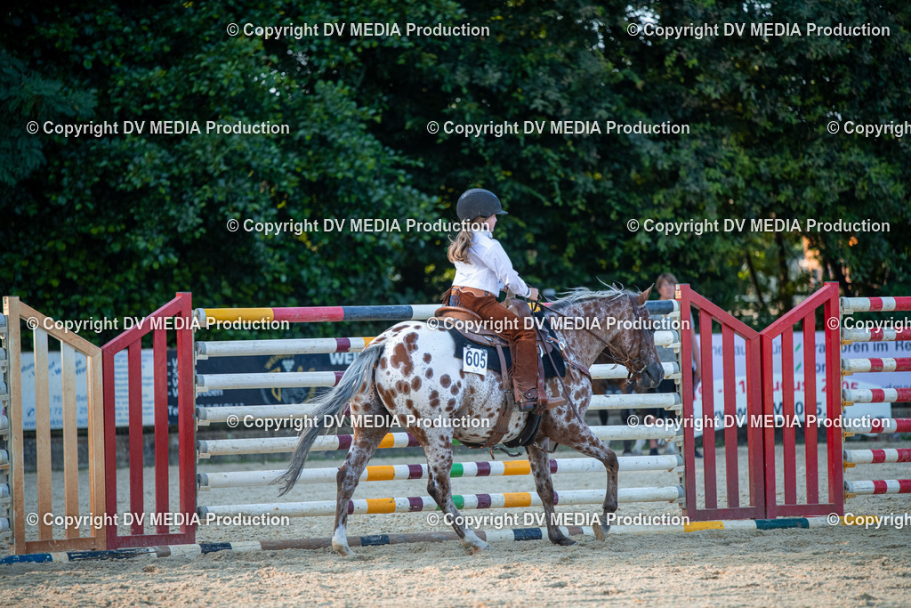 EWP_7265 | dv-media-shop - Realisiert mit Pictrs.com