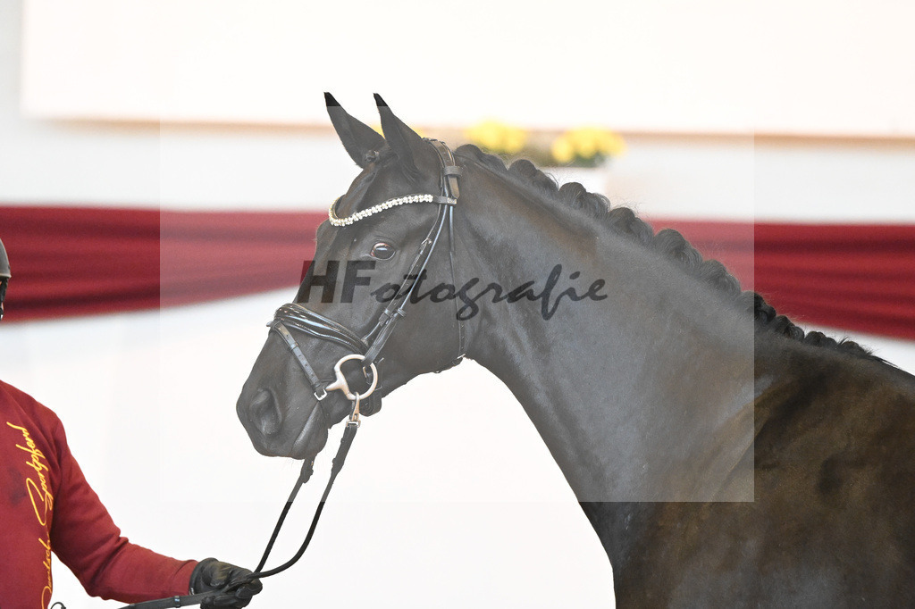 Kat-Nr. 51 v. Toto jr._Winklmaier_66220882 | hf-fotografie - Realisiert mit Pictrs.com