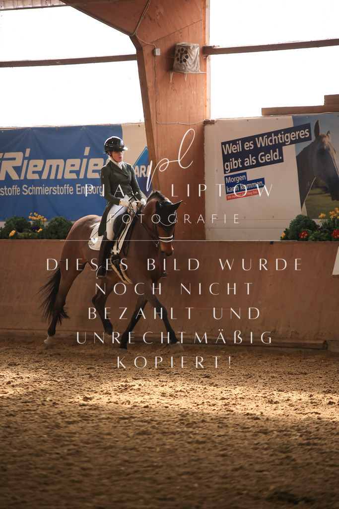 IMGT5171 | pl-fotografie