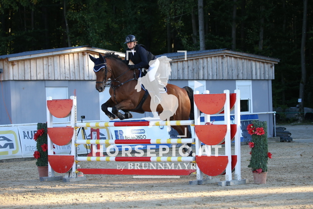 DL2Q4359 | Willkommen bei Brunnmayr - Design & Fotografie – Ihrem Spezialisten für Reitturniere und Pferdeveranstaltungen in Oberösterreich, Salzburg und Bayern! Seit über 17 Jahren sind wir leidenschaftlich dabei.