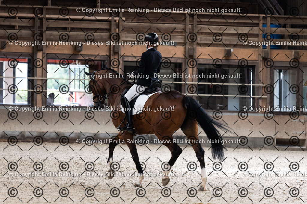 CL5A1373 | Emilia Reinking Fotografie - Realisiert mit Pictrs.com