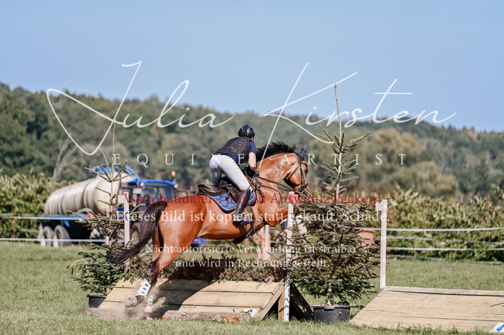 DSC_3374 | Pferde- und Turnierfotografie in Westsachsen. Pferdeportraits, Auftragszeichnungen und intuitive Kunst.