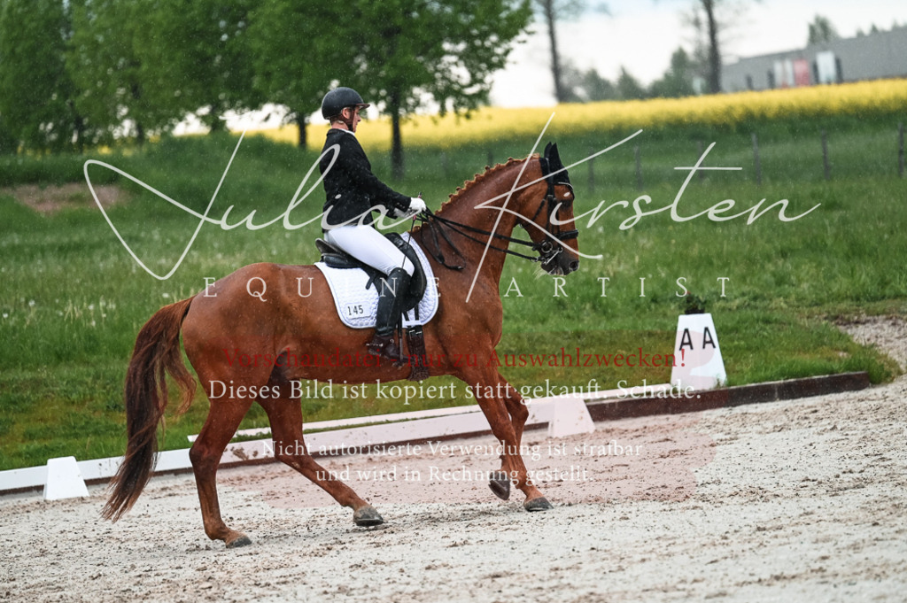DSC_4435 | Pferde- und Turnierfotografie in Westsachsen. Pferdeportraits, Auftragszeichnungen und intuitive Kunst.