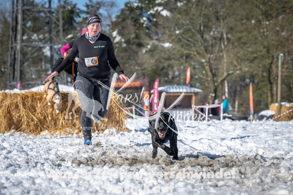 1113_ZZ90642-3 | kk-dogfotos