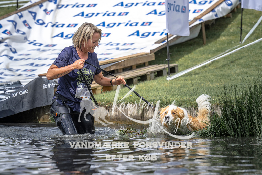 1153_ZZ94212 | kk-dogfotos